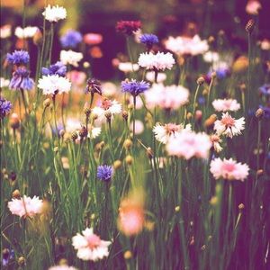 Meet your Posher, Yuliya